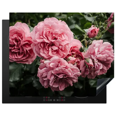 Produktbild von KitchenYeah© Herdabdeckplatte Rosa - Blumen - Rosen , 65x52cm, Küche Deko, Glaskeramikkochfeld Herdabdeckung, Abdeckplatte fùr Kochfeld