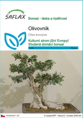 Obrázek produktu pro SAFLAX - olivovník - Olea europea - 20 Semena