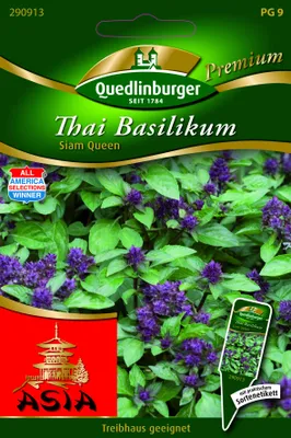 Produktbild von Thai-Basilikum, Siam Queen