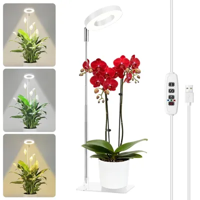 Produktbild von LED Pflanzenlampe Vollspektrum mit Standfuß – Höhenverstellbar, 3 Modi, Timer 3/9/12h, Weiß