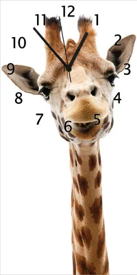 Produktbild von Wallario Design Wanduhr Giraffenkopf aus Echtglas, Größe 30 x 60 cm