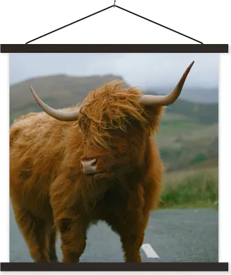 Produktbild von MuchoWow® Textilposter Schottisches Hochlandrind - Berg - Straße 60x60 cm mit schwarzem Rahmen - Posteraufhänger