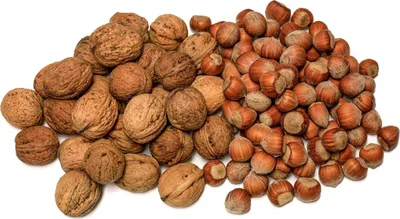 Produktbild von IGART Haselnüsse 10kg + Walnüsse 15kg in der Schale MIX Hazelnuts Walnuts Schmackhafte reif Walnüsse Unbehandelt