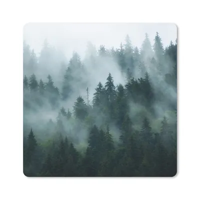 Produktbild von MuchoWow® Mauspad Mousepad Nebel - Bäume - Wald 30x30 cm - Mousepads - Maus Mat - Pad - Mausunterlage - Gaming