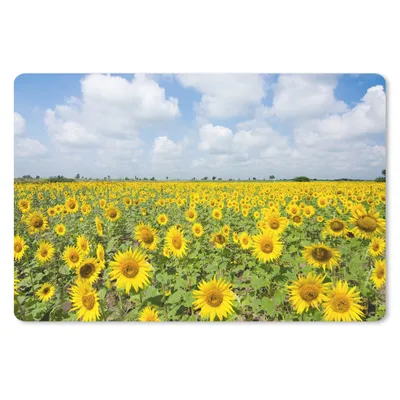 Produktbild von MuchoWow® Schreibtischunterlage Sonnenblumen - Blumen - Wolken - Natur - Gelb - Landschaft 60x40 cm - XXL Mauspad - Großes Mauspad
