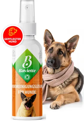 Produktbild von BAVIETTE 100ml Wundpflege & Wundreiniger für Hunde – Sanfte, probiotische & stressfreie Reinigung des äußeren Hautbereichs, geruchlos