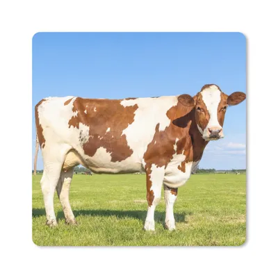 Produktbild von MuchoWow® Mauspad Mousepad Kühe - Bauernhof - Gras - Natur - Tiere 20x20 cm - Mousepads - Maus Mat - Pad - Mausunterlage - Desk Mat - Bureauartikeln