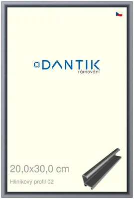 Zdjęcie produktu dla Rama DANTIK 20x30 | Profil ALU 7002 Platynowy mat (szkło przezroczyste)