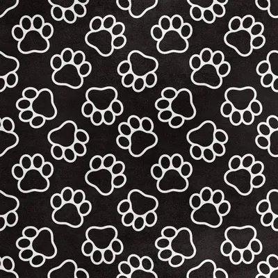 Productafbeelding van Koninklijke fluwelen stof, polyester, geschikt voor naaien - motief: pootafdruk op zwarte achtergrond