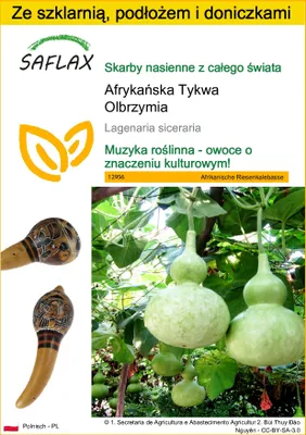 Zdjęcie produktu dla SAFLAX - Zestaw do uprawy - Afrykańska Tykwa Olbrzymia - 15 Nasiona - Z mini szklarnią, podłożem uprawowym i 2 doniczkami - Lagenaria siceraria