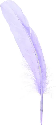 Produktbild von Lila Bastelfedern Gänsefedern DIY Deko 40g, 2 Stück