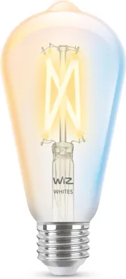 Immagine prodotto di WiZ Lampadina a filamento trasparente 60 W ST64 E27