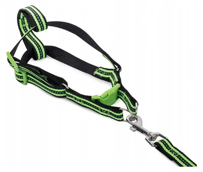 Produktbild von Verk 19127 Nylon-Hundegeschirr mit Leine, 125 x 2,5 cm, grün