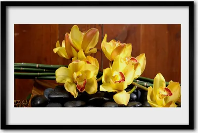 Produktbild von Bild 60x40 MDF-Rahmen Wandkunst Blume Orchidee Pflanze