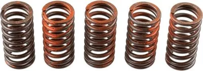 Immagine prodotto di Kit molla frizione TRW MEF317-5