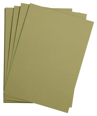 Produktbild von Clairefontaine Etival Pack 25Bl A3 160g olivrün