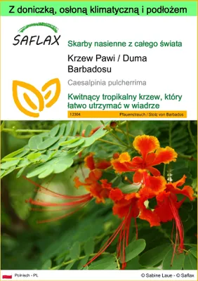 Zdjęcie produktu dla SAFLAX - Garden to go - Krzew Pawi / Duma Barbadosu - 10 Nasiona - Z doniczką, pokrywą klimatyczną i podłożem do uprawy - Caesalpinia pulcherrima