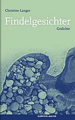 Produktbild von Langer, C: Findelgesichter