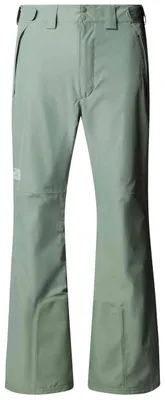 Image de Pantalon The North Face Descendit Regular pour Uni