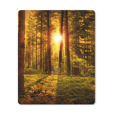 Produktbild von MuchoWow® Mauspad Mousepad Wald - Sonne - Bäume - Natur - Sonnenuntergang 19x23 cm - Mousepads - Maus Mat - Pad - Mausunterlage - Mauspads - Spielen