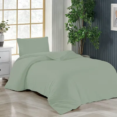 A bed with light green bedding is shown in a room with a large window and a plant.