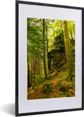 Produktbild von MuchoWow® Gerahmtes Poster Bäume - Stein - Wald - Natur - Pflanzen 40x60 cm - Poster mit Schwarzem Bilderrahmen Wandposter Rahmen Foto Bilder - Poster in Rahmen