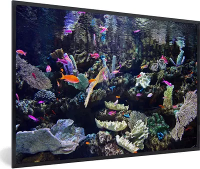 Produktbild von MuchoWow® Gerahmtes Poster Buntes Aquarium 30x20 cm - Poster mit Schwarzem Bilderrahmen Wandposter Rahmen Foto Bilder - Kunstdruck - Bild-Poster