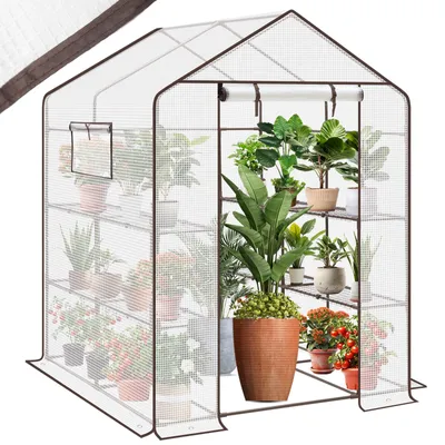 A greenhouse filled with plants.