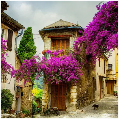 Produktbild von Wallario Premium Glasbild, freischwebende Optik, kräftige Farben, Größe 30 x 30 cm Motiv Malerische Stadt in der Provence mit bunten Blumen