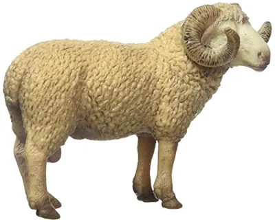 Obrázok produktu pre Baran Schleich