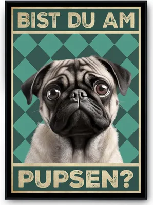 Produktbild von Mops - Bist du am Pupsen? Hunde Poster Badezimmer Gästebad Wandbild Klo Toilette Dekoration Lustiges Gäste-WC Bild DIN A4 – DIN A4 mit Rahmen | Schwarz