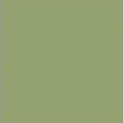 Zdjęcie produktu dla Dekoracyjna farba kredowa Chalky Pentart 100 ml - 21479 - oliwkowa
