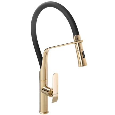 Obrázek produktu pro Kuchyňská baterie Rea CASTOR Gold Black