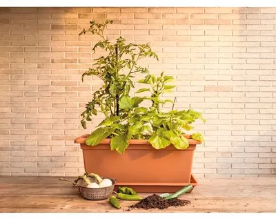 Produktbild von Balkonkasten Magnus XXL Kunststoff 98 x 38 x 37 cm terracotta