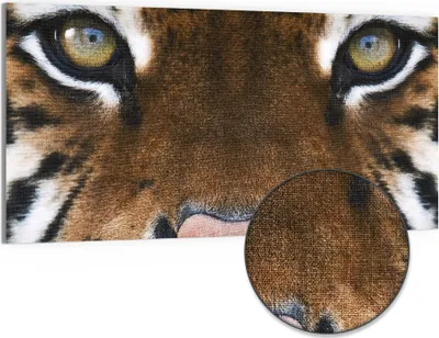 Produktbild von DEQORI Hybrid Leinwand Bild 100x50 cm 'Tigerblickfaszination' Wandbild Glas flach modern
