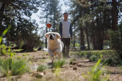 Obrázek produktu pro Ruffwear Huckama míček pro psy Ruffwear ⌀ 8 cm, barva:Campfire Orange