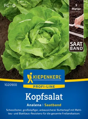 Produktbild von Kiepenkerl Kopfsalat Saatband Analena Lactuca sativa 5 lfd. Meter