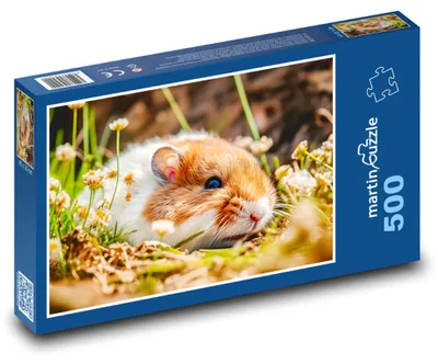 Produktbild von Puzzle 500 Hamster in der Natur - martinpuzzle