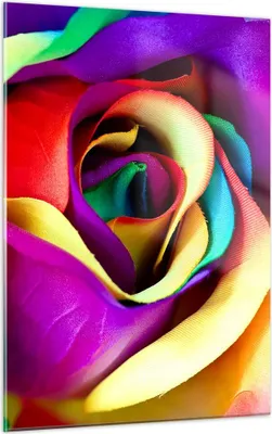 Produktbild von Bilder auf glas - Einteilig - Blume Farbe Rose - 50x70cm - Glasbilder - Wandbilder - Bilder - zum Aufhängen bereit - Wanddekoration aus Glas - Glas Bilder - Wandbild auf Glas - GPA50x70-3623