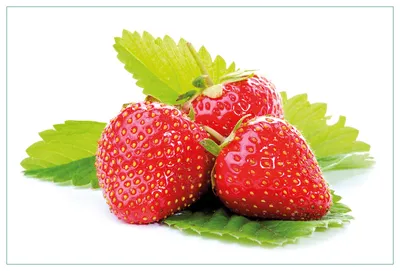 Produktbild von Wallario Küchenrückwand aus Glas, Größe: 90 x 60 cm, Motiv: Frische rote Erdbeeren für die Küche | Spritzschutz | abwischbar | pflegeleicht | in