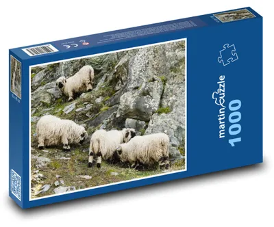 Zdjęcie produktu dla Puzzle 1000 Owce między skałami - martinpuzzle