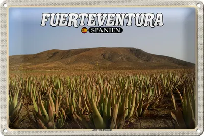 Produktbild von Blechschild Reise 18x12cm Fuerteventura Spanien Aloe Vera Plantage