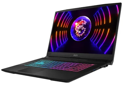 Obrázek produktu pro MSI Katana 17 HX B14WGK-240