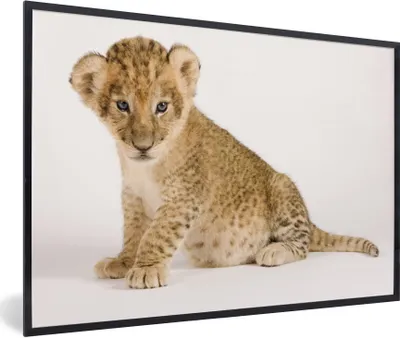 Produktbild von MuchoWow® Gerahmtes Poster Porträt - Tiger - Weiß 30x20 cm - Poster mit Schwarzem Bilderrahmen Wandposter Rahmen Foto Bilder - Kunstdruck - Bild-Poster