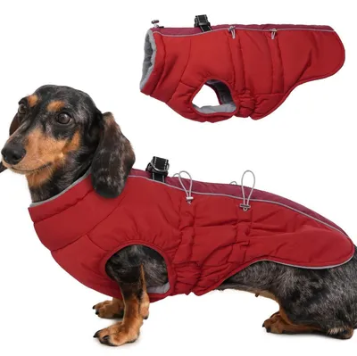 Image de Manteau d'hiver pour chien, imperméable, de couleur rouge, taille M, avec harnais