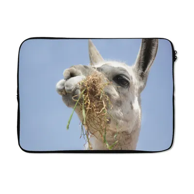 Produktbild von MuchoWow® Laptop Hülle 14 ZollAlpaka - Tier - Lebensmittel Laptoptasche - Laptoptasche - Stoßsicher - Schutzhaube