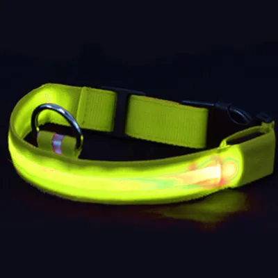 Produktbild von LED-Hundehalsband, USB-aufladbar – Helles und gut sichtbares Leuchthalsband für nächtliche Spaziergänge mit Ihrem Haustier