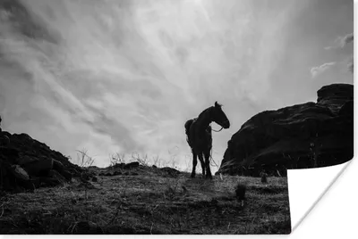 Produktbild von MuchoWow® Poster Pferd - Wolken - Wiese 180x120 cm - Fotoplakat