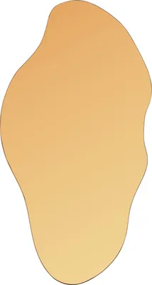 Obrázek produktu pro BELIANI Nástěnné zrcadlo hnědé 46 x 90 cm nepravidelný tvar závěsná dekorace předsíň
