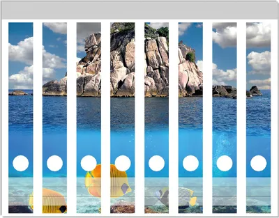 Produktbild von Wallario Ordnerrücken Sticker, selbstklebend für schmale Ordner, 8 Stück, Motiv Exotische Fische im Meer